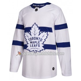 Toronto Maple Leafs Blank Adidas Pro Stadium Series Authentic Shirt - Mannen